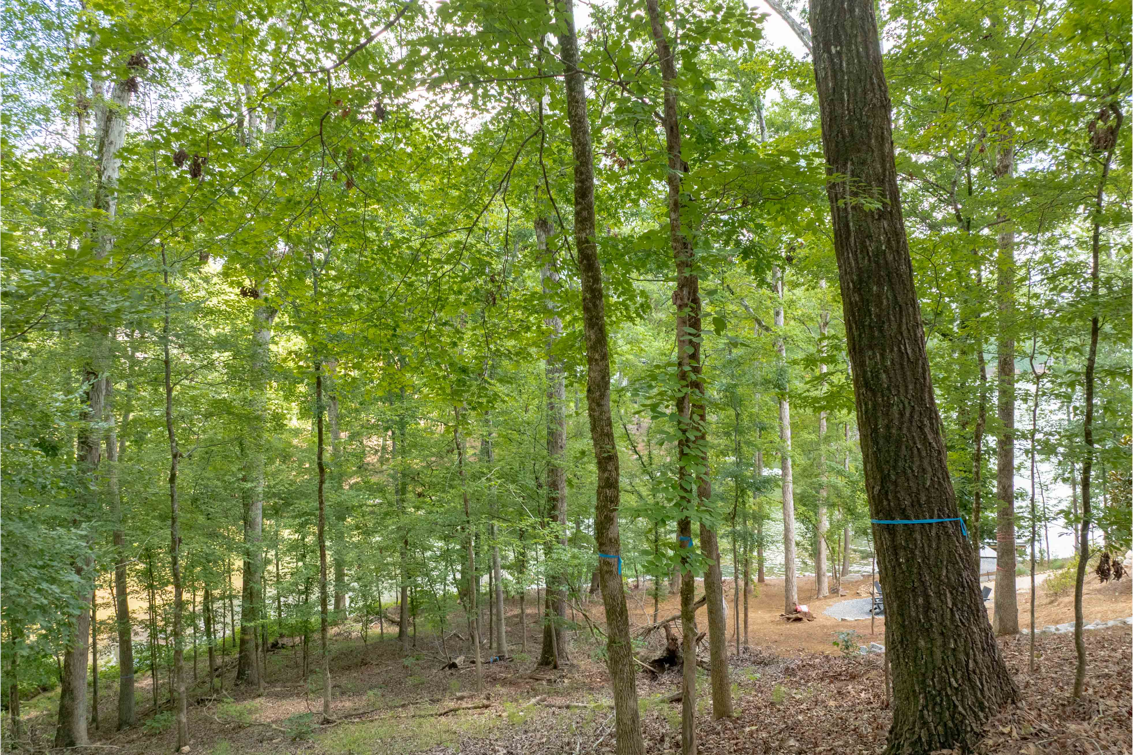 1100 High Bluff Lane image 11